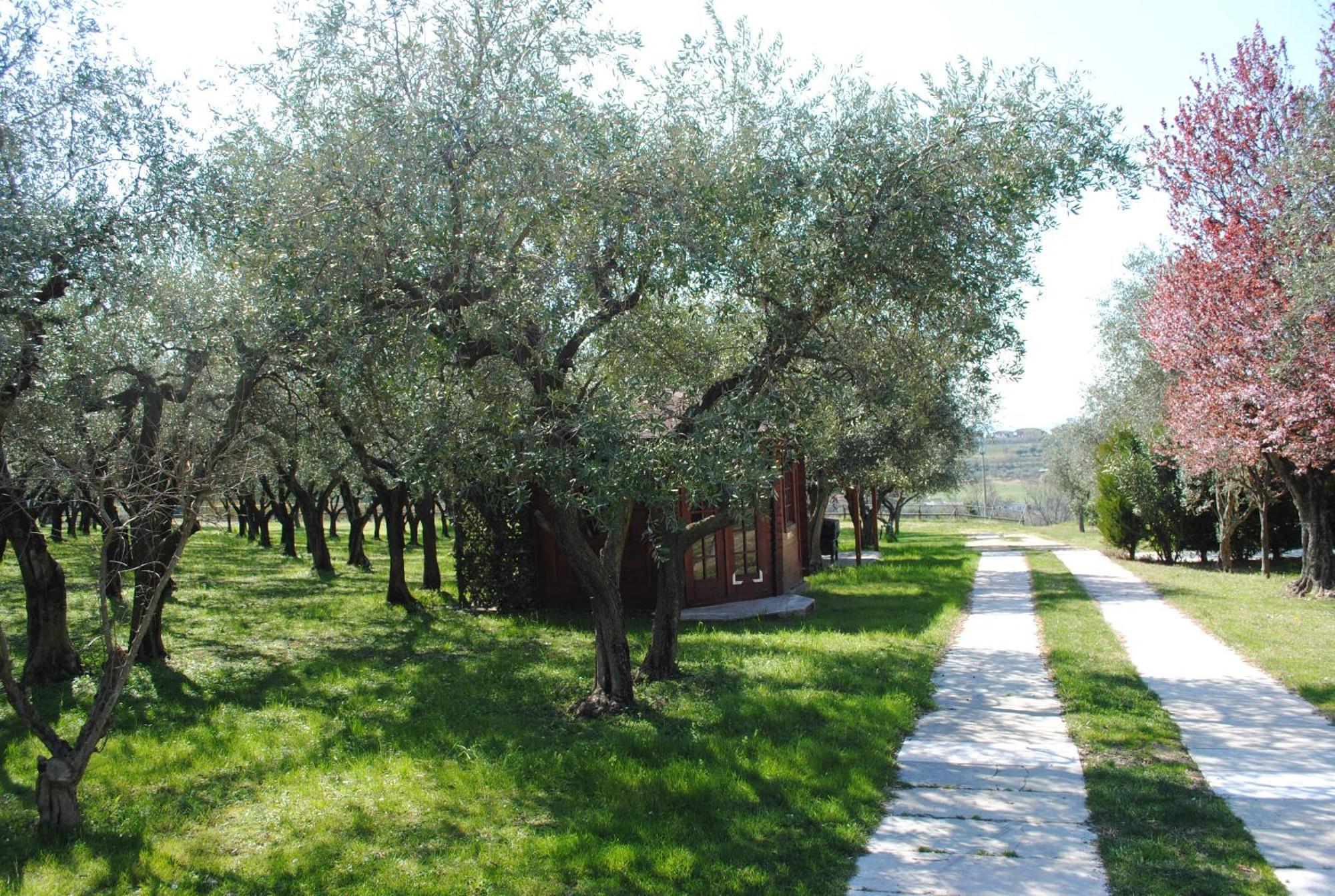 Agriturismo Melograno D'Oro บาร์โดลิโน ภายนอก รูปภาพ